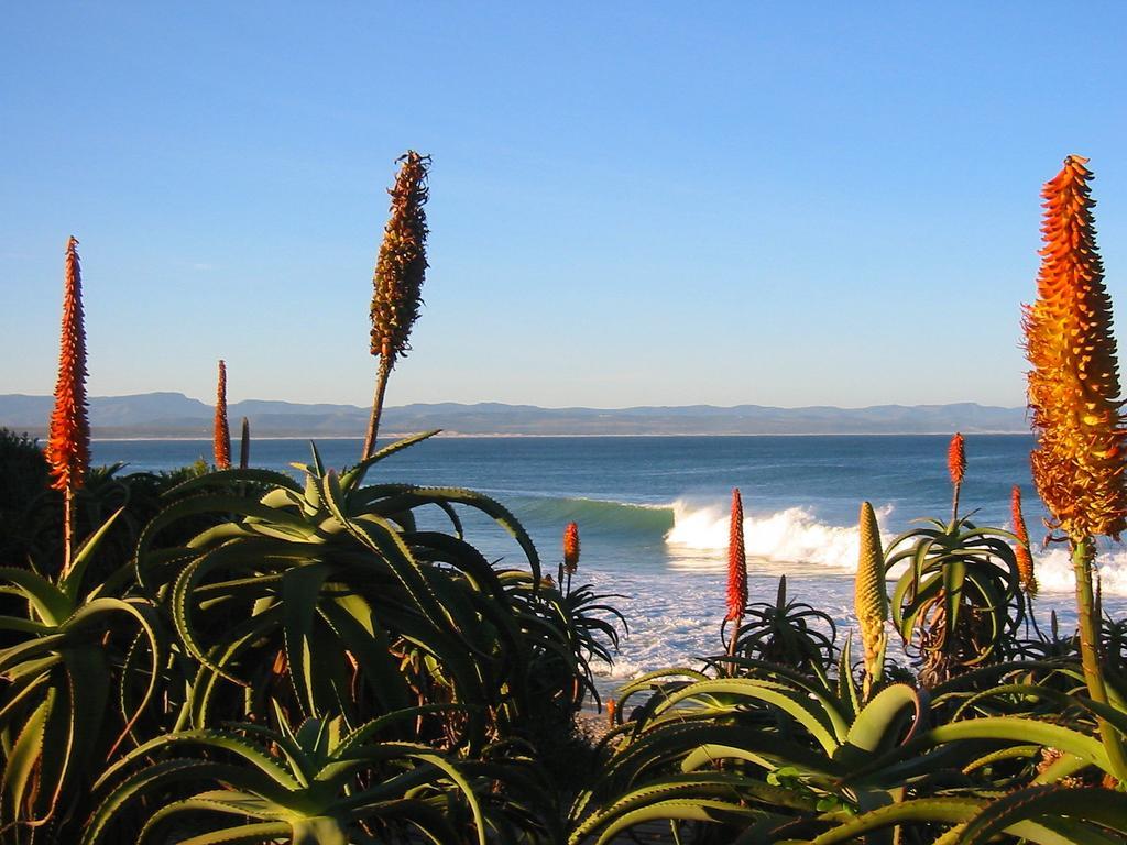 Beach House Jeffreys Bay Exterior photo